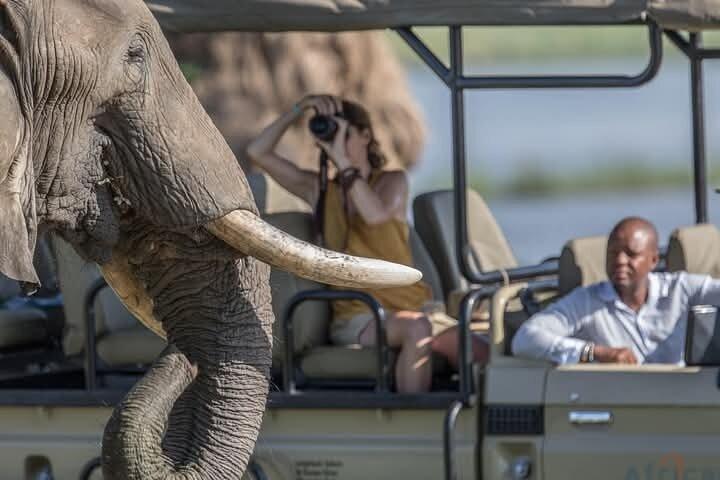 6 dias Amboseli, Naivasha e Masai Mara Safari Experience