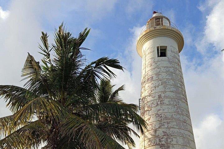 コロンボ日帰り旅行：ゴール城、マドゥリバーサファリ＆タートルハッチリー