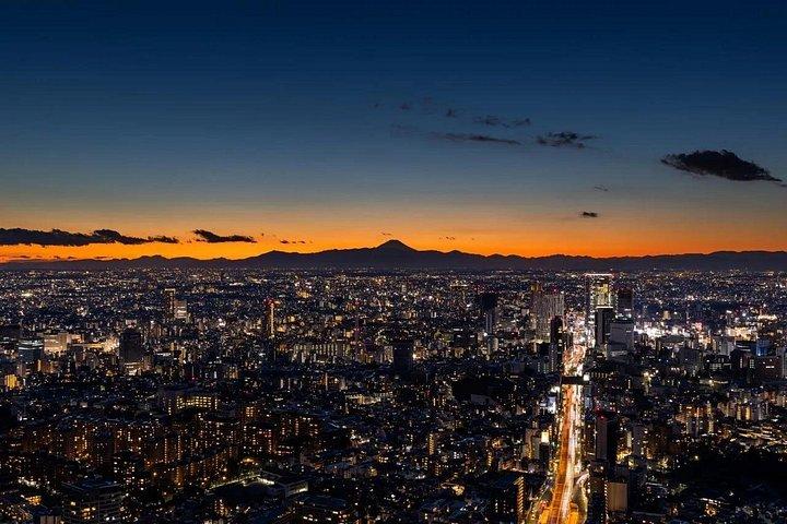 六本木ヒルズ展望台 東京スカイラインビューチケット