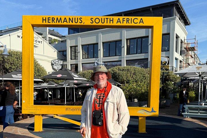 Boat Based Whale Watching from Hermanus