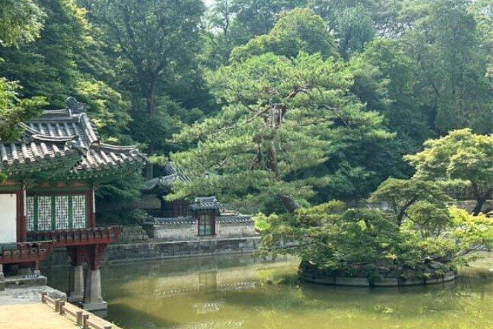 Visite à pied au palais de Changdeokgung avec robe coréenne Hanbok
