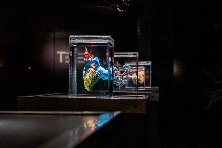 Bodies The Exhibition no Luxor Hotel e Cassino