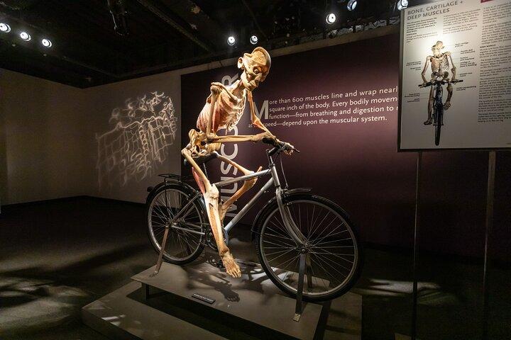 Bodies The Exhibition al Luxor Hotel and Casino