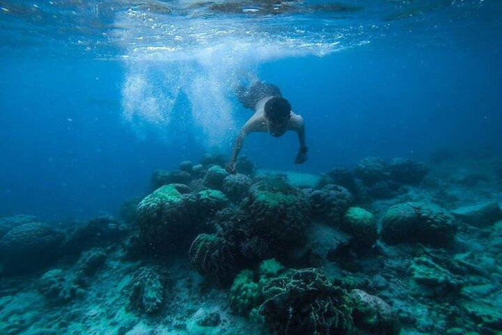 Crucero a la isla de Tirán Excursión de día completo desde Sharm El Sheikh