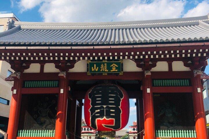 Privat Mt Fuji eller Hakone Day Tour med engelsktalande chaufför