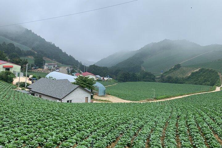 ソウルから江陵への日帰り旅行： イーストコースト・ブリス