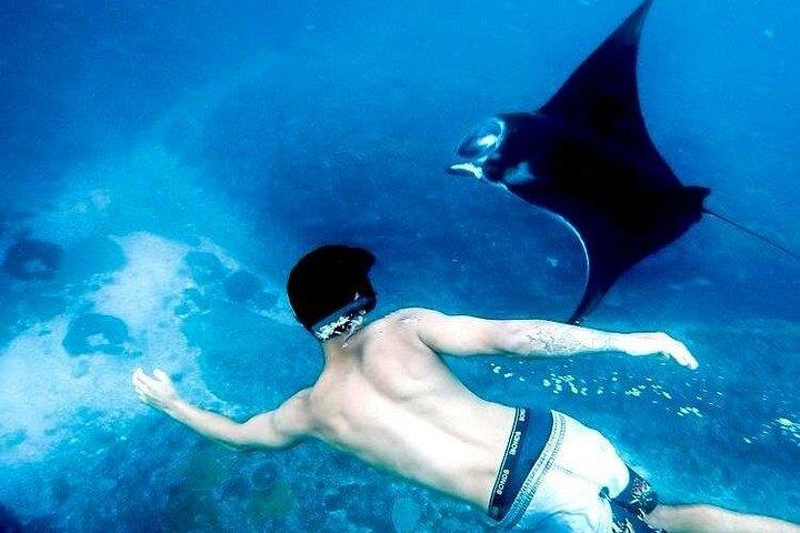 コモド島1泊2日バリ島発フライト付き