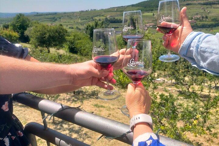 Amarone & Soave Wine Tour com Sommelier – Visite Verona