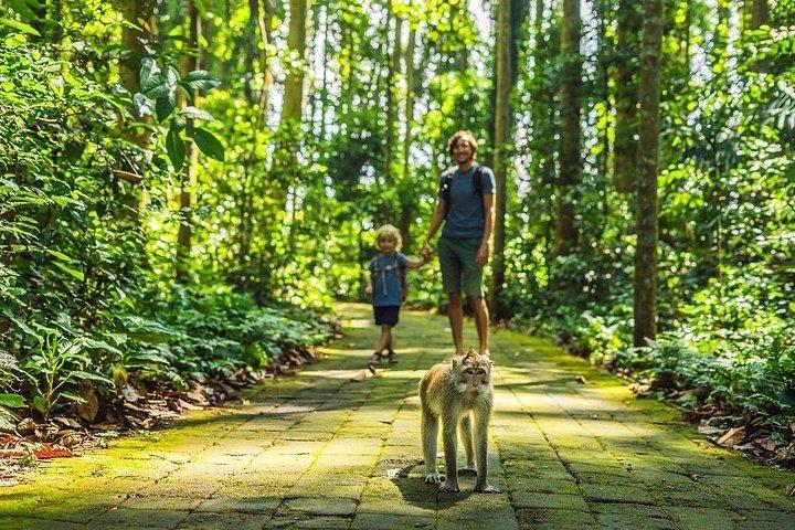 Visite privée personnalisée Ubud tout compris