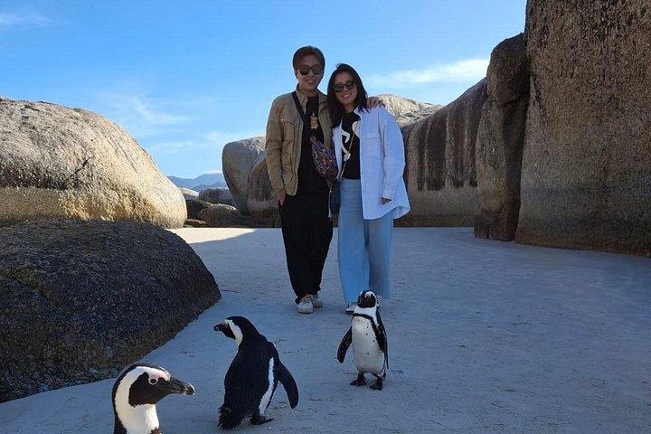 喜望峰,ペンギンビーチ,ダチョウ牧場,半島ツアー
