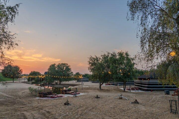 Dubaï: Safari nocturne dans le désert avec balade à dos de chameau et observation des étoiles