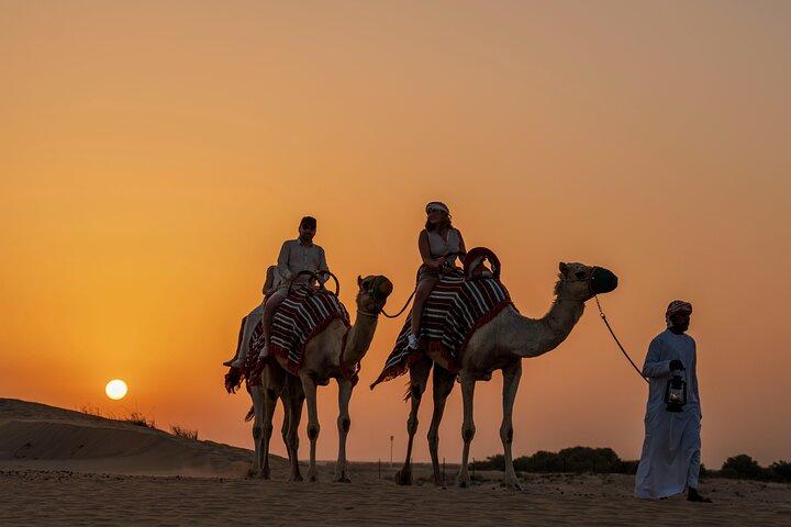 Dubaï: Safari nocturne dans le désert avec balade à dos de chameau et observation des étoiles