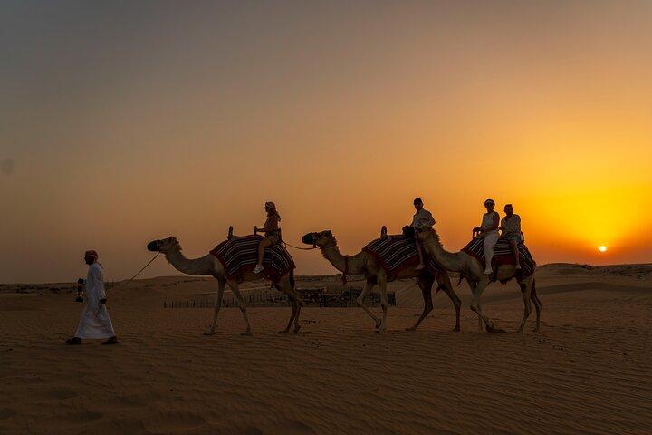 Dubaï: Safari nocturne dans le désert avec balade à dos de chameau et observation des étoiles