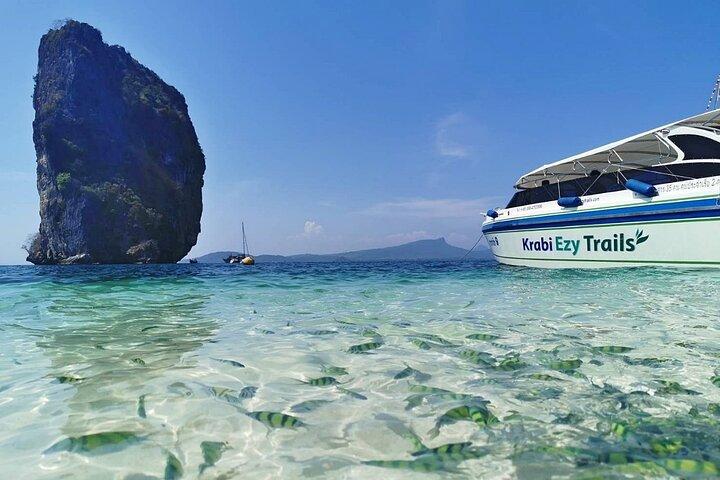 Phi Phi Early Bird & 4 Islands - Tagestour mit dem Schnellboot von Krabi