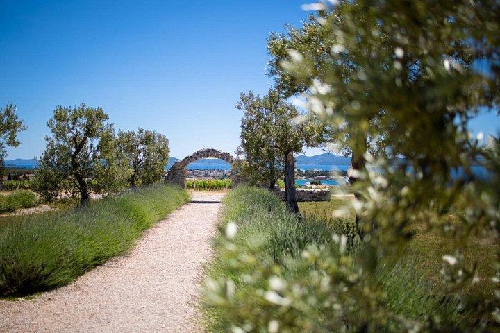 カブリオツアー： ニン旧市街、塩の家、王立ブドウ園