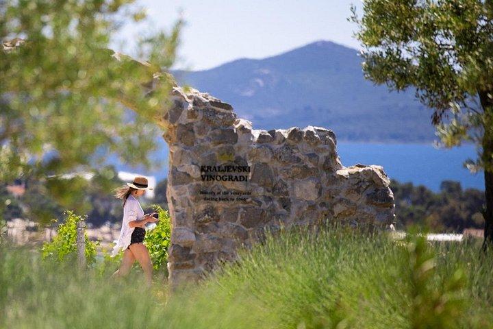カブリオツアー： ニン旧市街、塩の家、王立ブドウ園