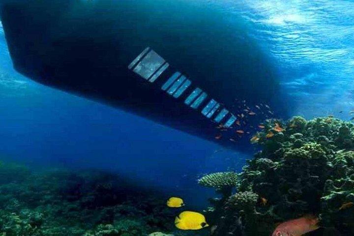 フルガダ発フラ・フラ・アイランド・ボートの旅