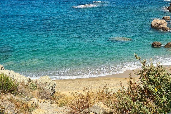 4 Hours Mykonos Tour Local Edition
