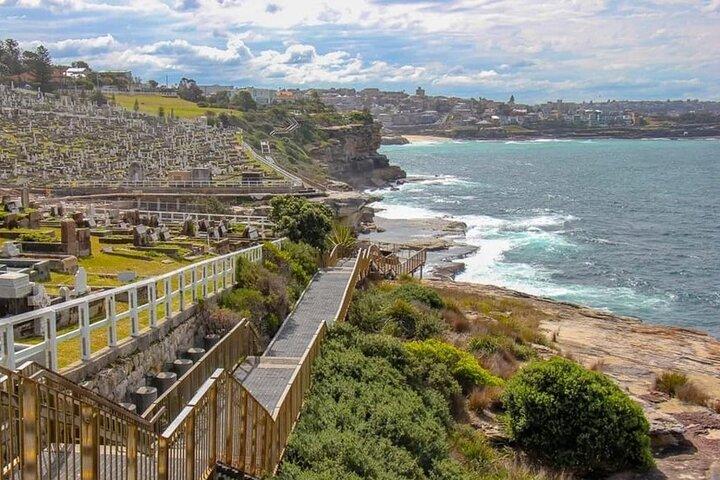 Bondi to Coogee Guided Coastal Walk com almoço