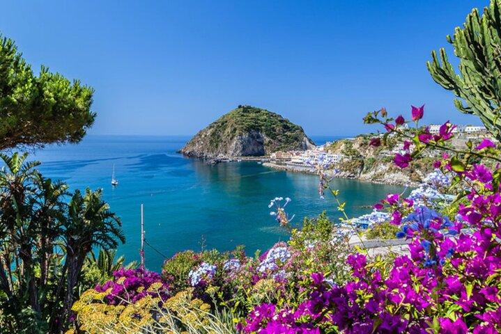 Tour in Minivan Ischia con Degustazioni