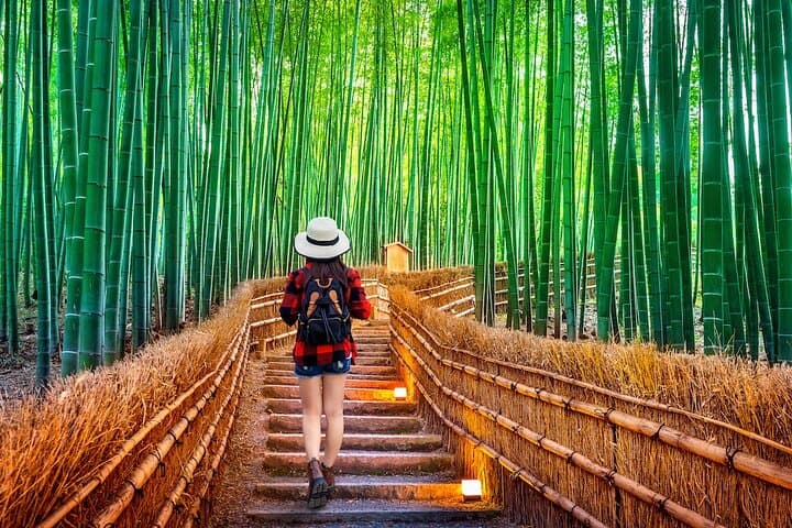 Kyoto and Nara Day Tour With English Guide