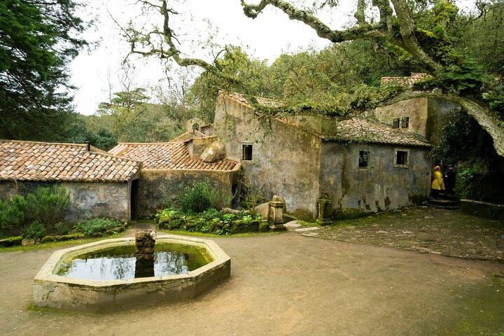 L'autre côté de Sintra - Forgotten Woods
