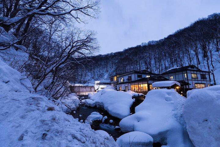 Private Luxury Day Tour to Nagano Snow Monkeys and Zenkoji Temple