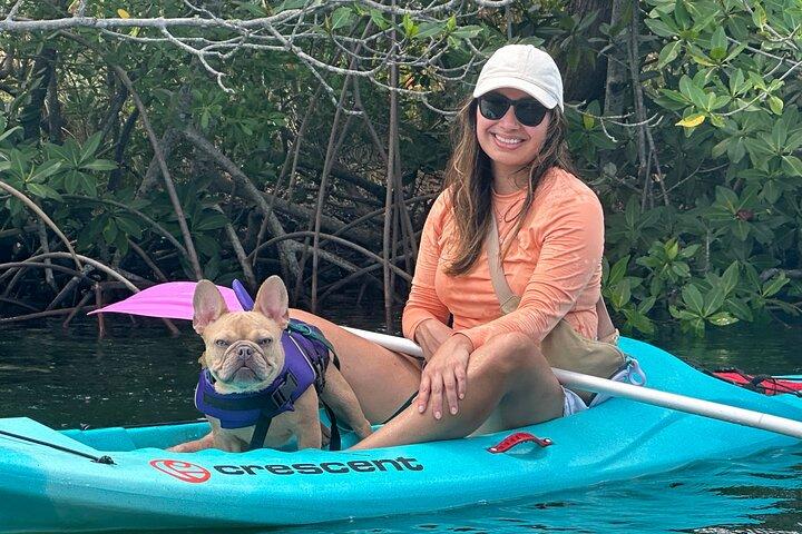 2 HR Key West Clear Kayak Rental – Découvrez les mangroves et la faune!