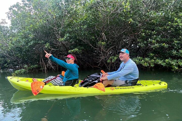 2 HR Key West Clear Noleggio Kayak – Scopri Mangrovie e fauna selvatica!