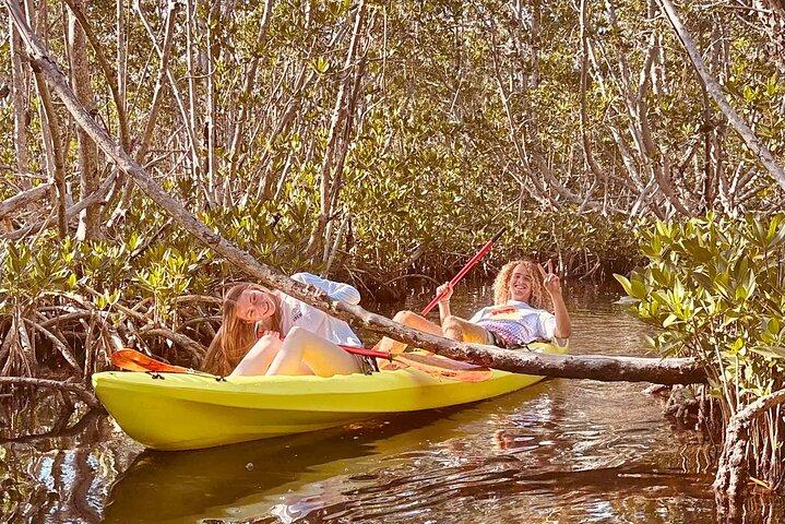 2 HR Key West Clear Noleggio Kayak – Scopri Mangrovie e fauna selvatica!