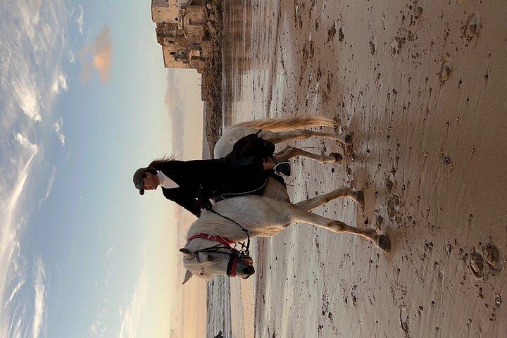 Ridning på stranden i Essaouira
