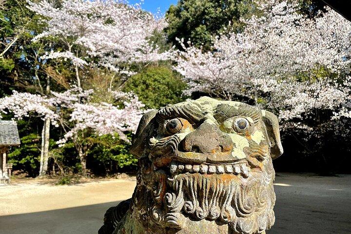 福岡九州糸島隠れ宝石日帰りツアーより