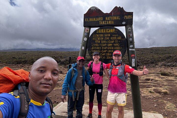 Excursión de un día al Kilimanjaro por la ruta de Lemosho