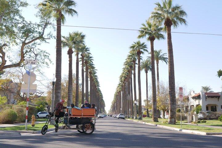 Phoenix Downtown Personalized Pedicab Tours