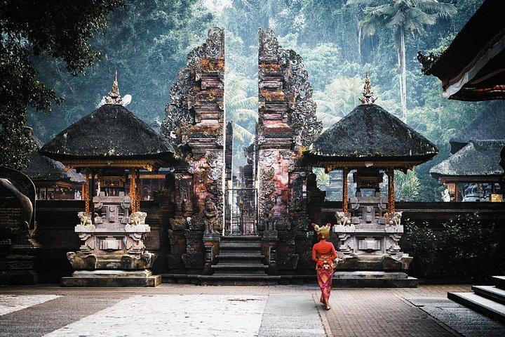 Ubud Adventure All Inclusive Private Day Tour