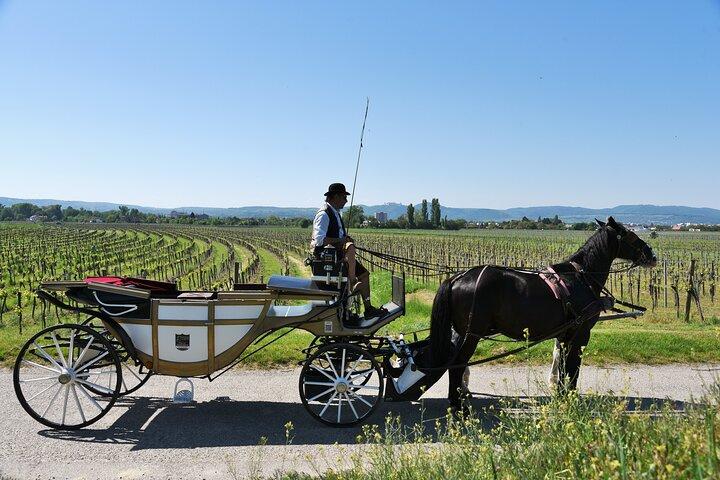 Prickelnde Kutschenfahrt durch Krems und die Wachauer Weinberge