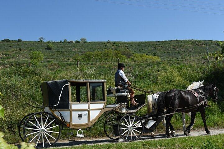 クレムスとヴァッハウのブドウ畑を巡るきらめく馬車の旅