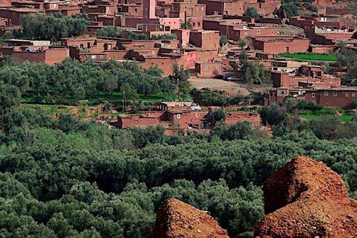 Marrakech: ourika valley day trip lunch waterfulls hike + guide