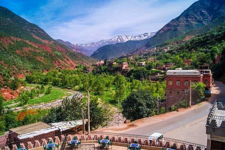 Marrakech: ourika valley day trip lunch waterfulls hike + guide
