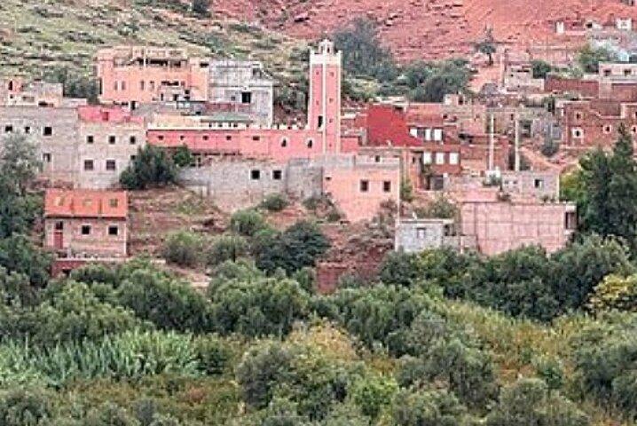 Marrakech: ourika valley day trip lunch waterfulls hike + guide