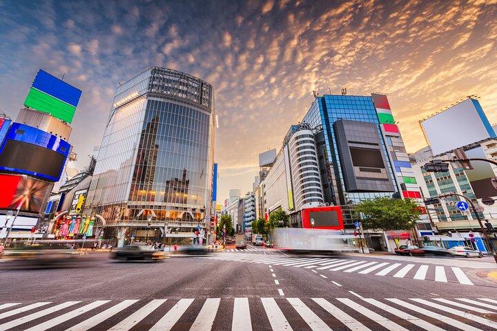 東京午後の小グループツアー
