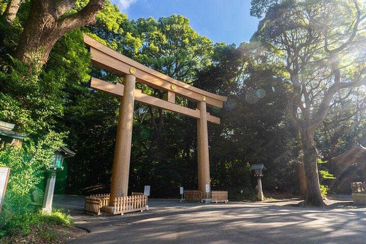 東京午後の小グループツアー