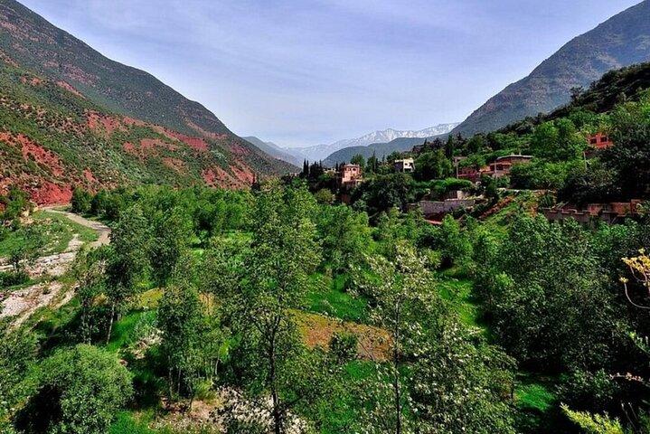 Marrakech: valle de ourika con almuerzo y caminata guiada a cascadas