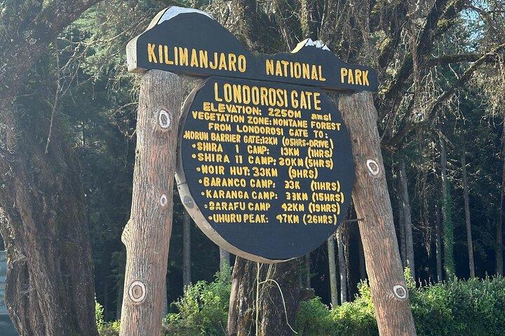 Excursión de un día al Kilimanjaro por la ruta de Lemosho
