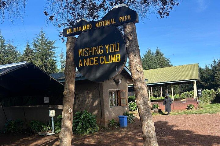 Excursión de un día al Kilimanjaro por la ruta de Lemosho