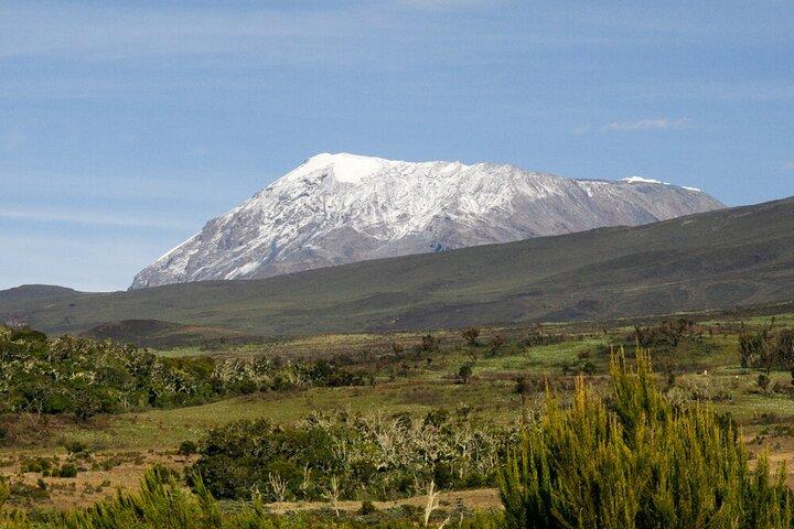 Excursión de un día al Kilimanjaro por la ruta de Lemosho