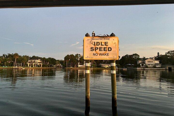 Kings Bay Manatee-kijkcruise