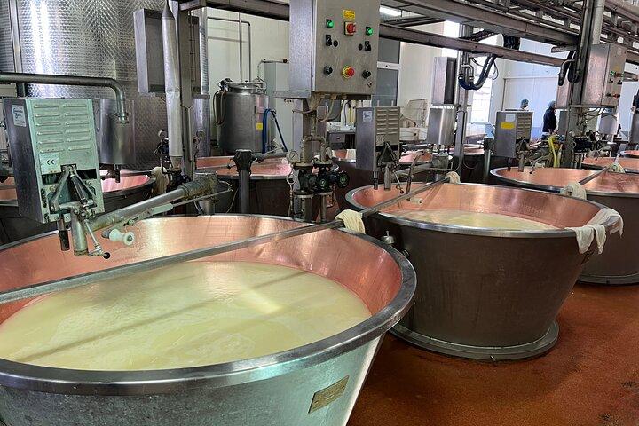 Tour del gusto: Parmigiano Reggiano, Aceto Balsamico e Pranzo