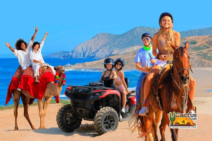 Cabo San Lucas Camel og Horseback Ride med ATV Adventure