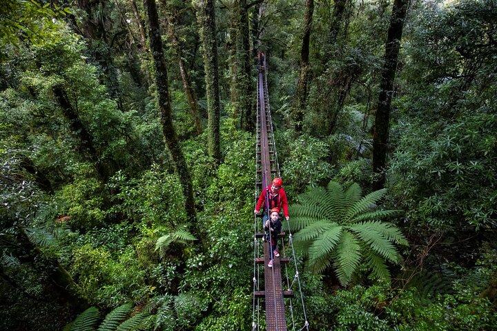 Rotorua Canopy Tours: 2,5 timmars Zipline äventyr i Native Forest